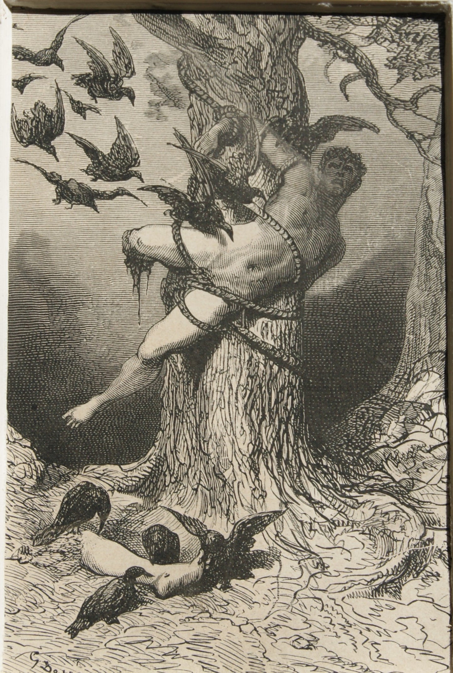 Impressió "Festa dels corbs" Gustave Doré -