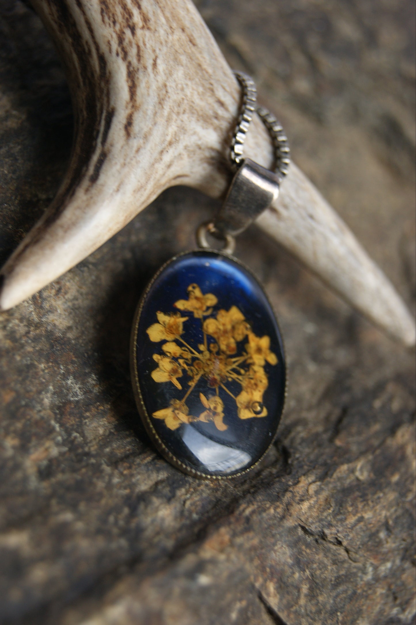 Antique Victorian Forget-Me-Not Pressed Flower Pendant Necklace