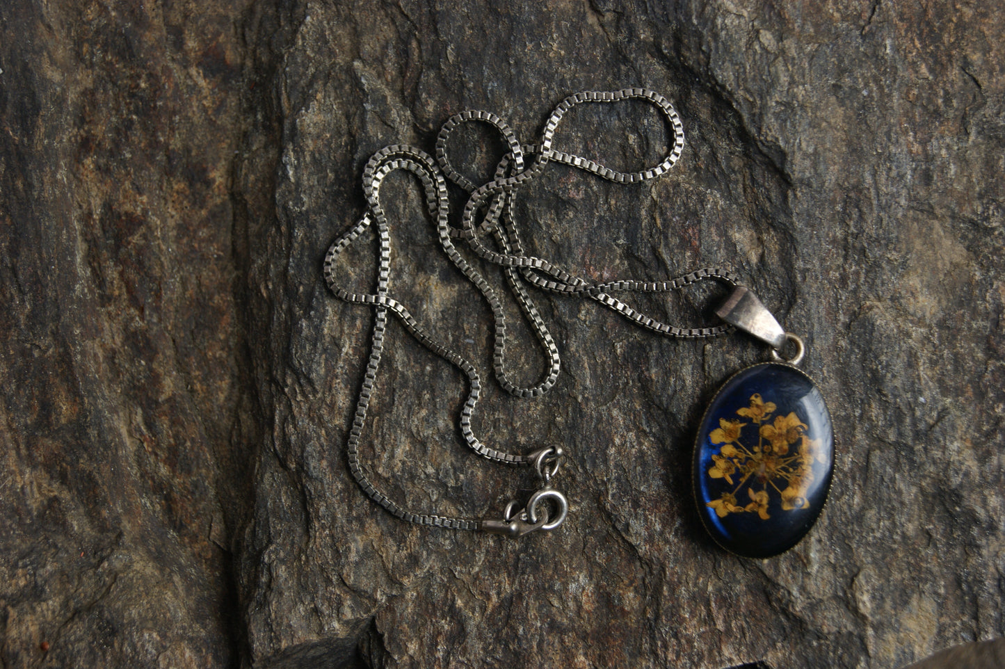 Antique Victorian Forget-Me-Not Pressed Flower Pendant Necklace